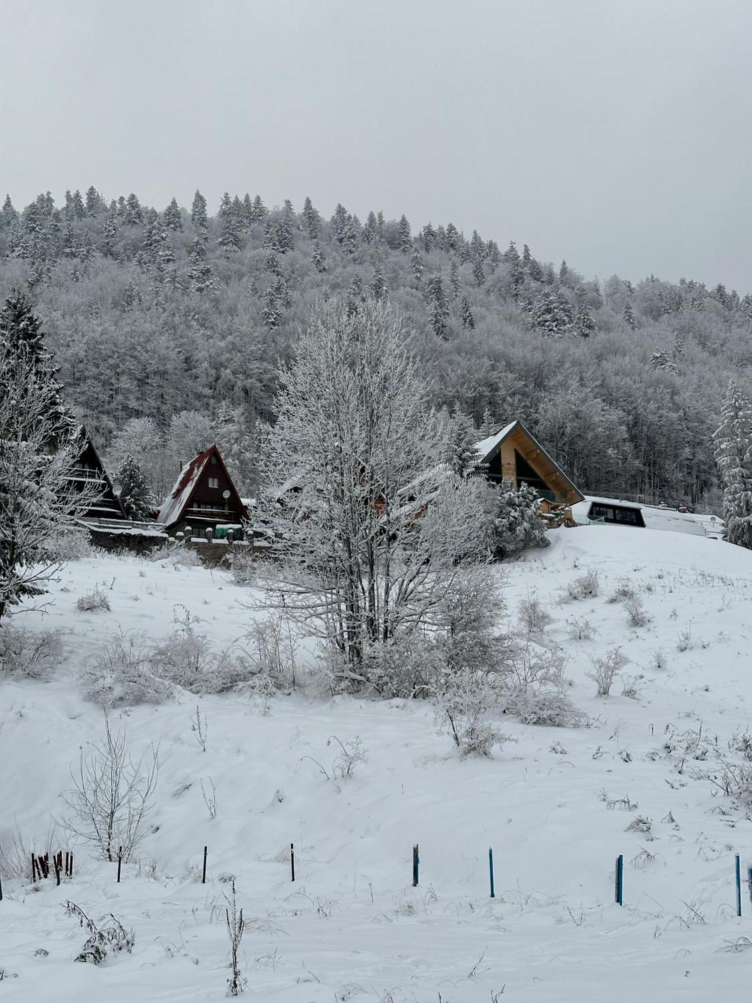 Apartmán FOREST VIEW Donovaly Exterior foto